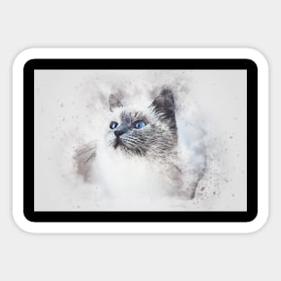 Beautiful eyes cat Sticker